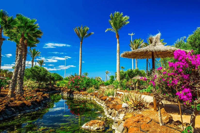Fuerteventura wakacje