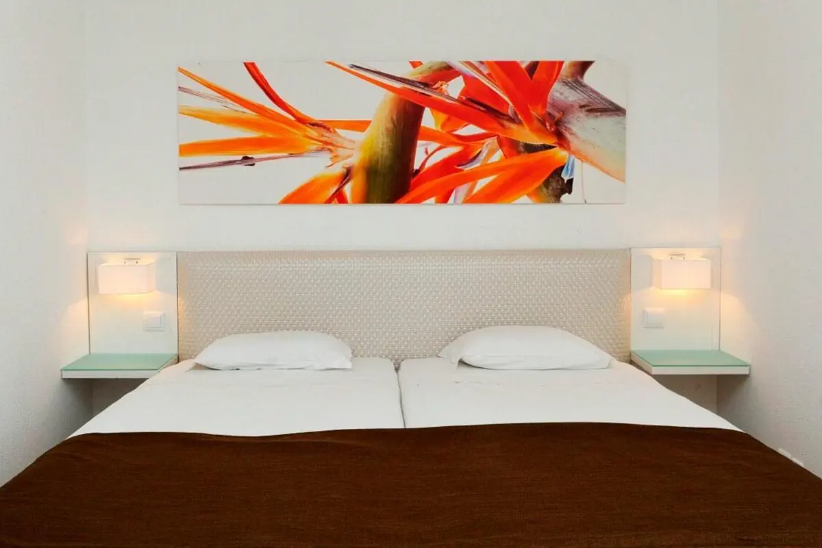 HOTEL Estrelicia Hotel