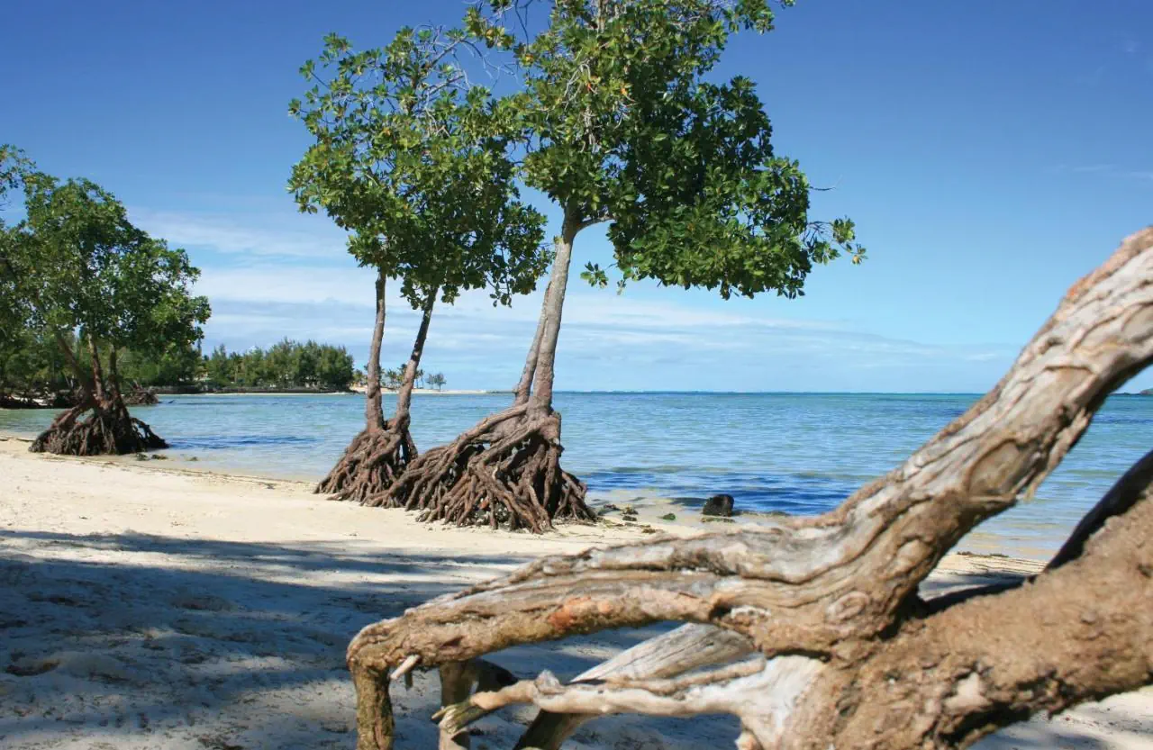 HOTEL Jalsa Beach Hotel & Spa