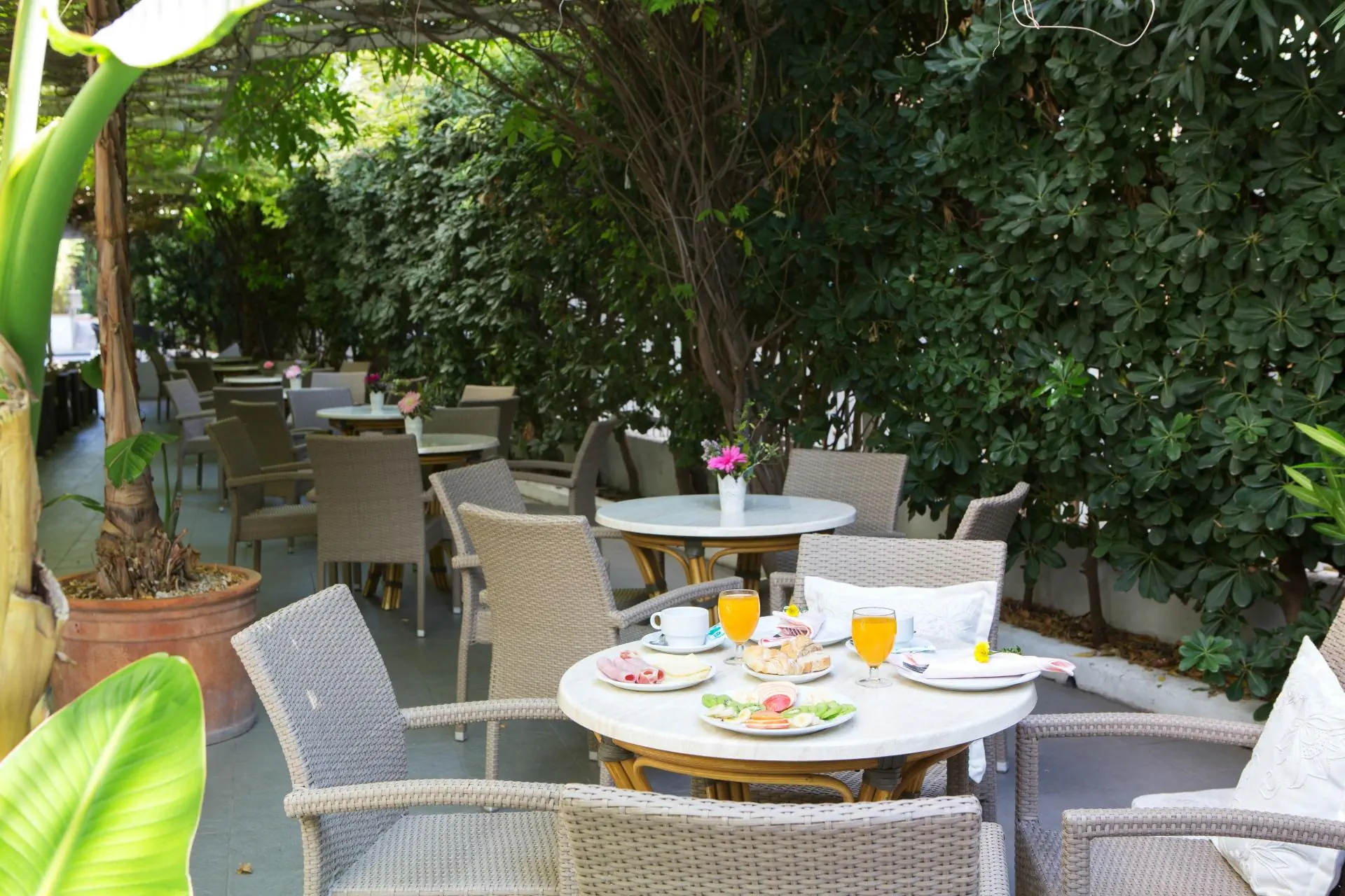 HOTEL HOTEL BLUESEA PISCIS - Adults Only
