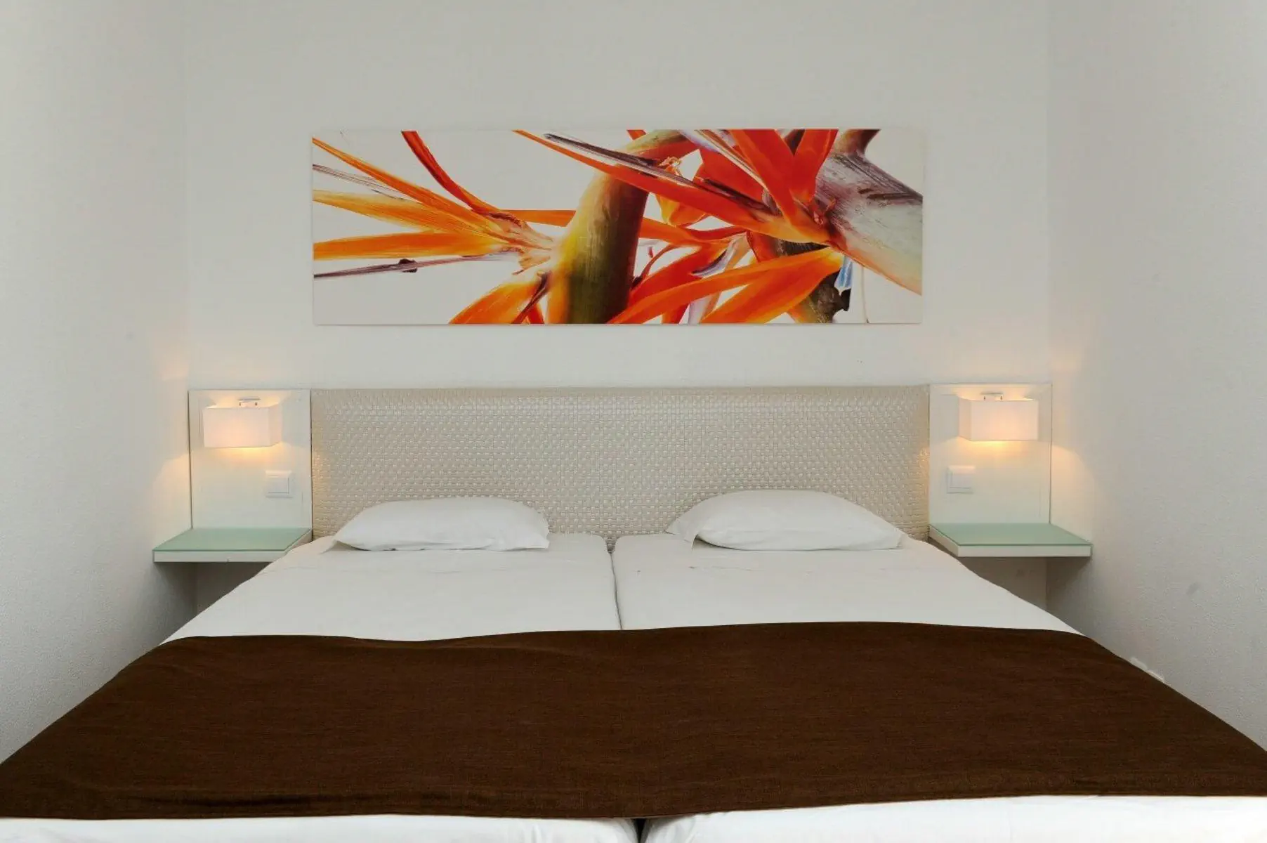 HOTEL Estrelicia Hotel