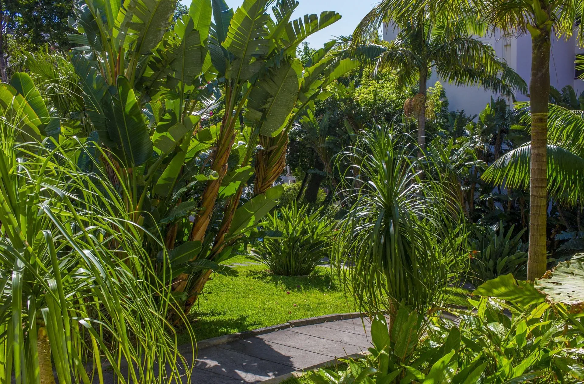 HOTEL Buganvilia Studio Hotel