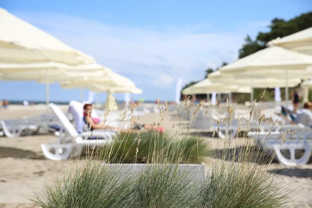 HOTEL: HAVET HOTEL RESORT AND SPA OFERTA PODSTAWOWA DZWIRZYNO