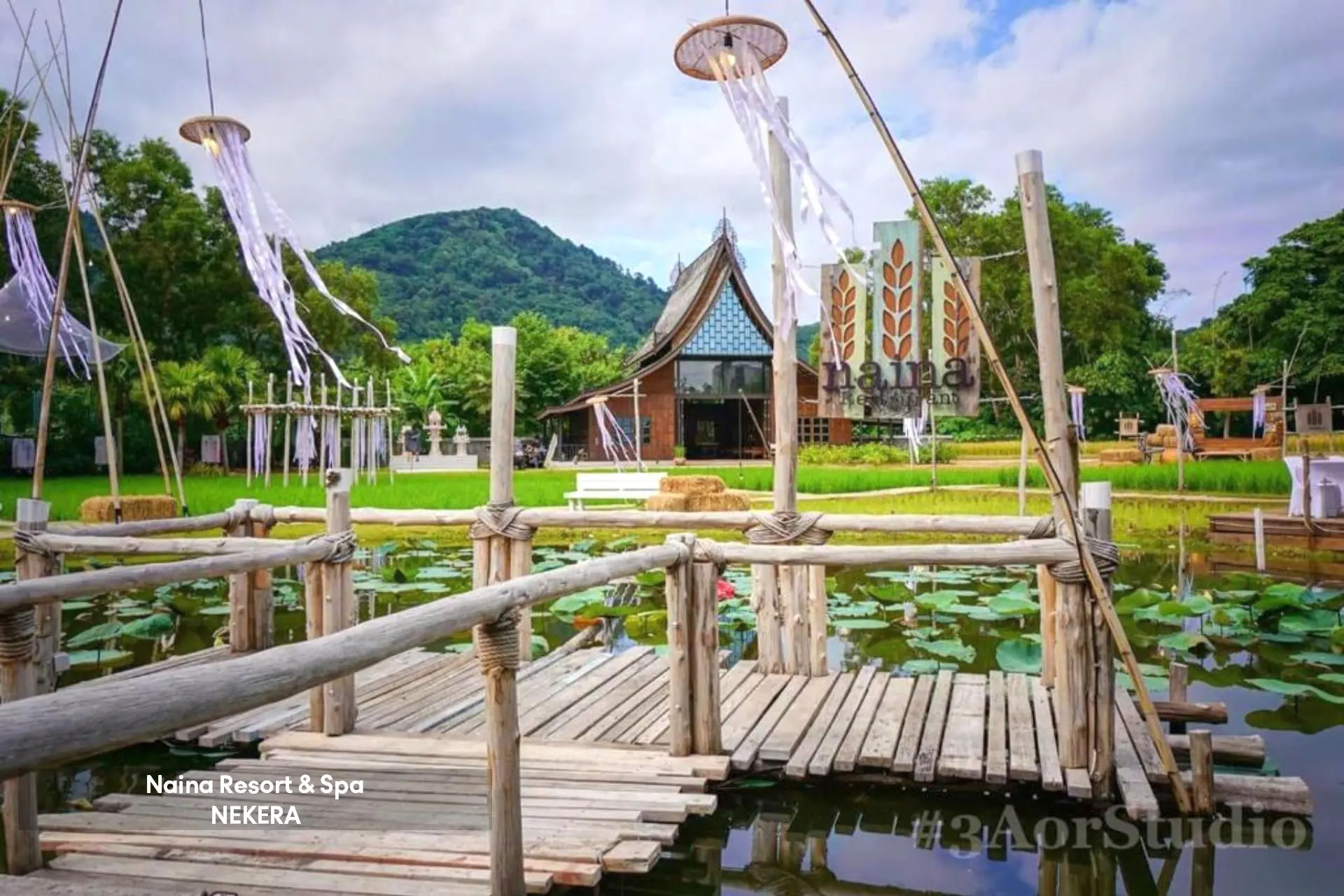 Naina Resort and Spa