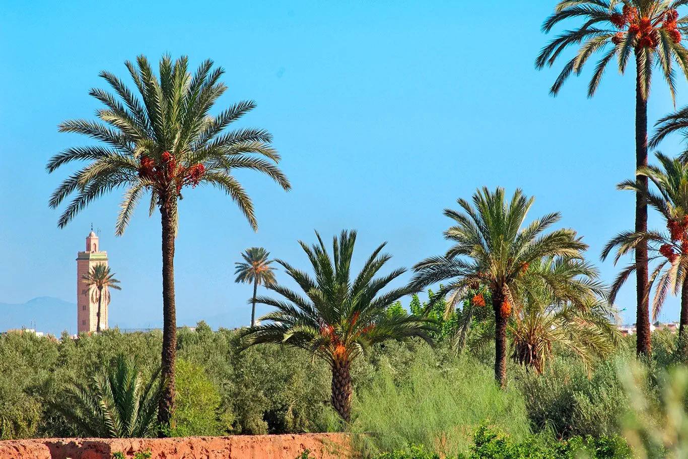 Hotel: Spotkanie z Marokiem