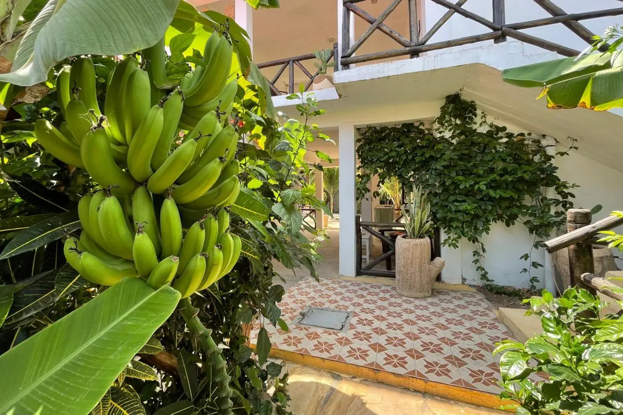 HOTEL: MAX HOTEL NUNGWI
