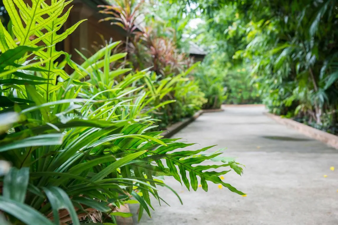 PLUMERIA RESORT