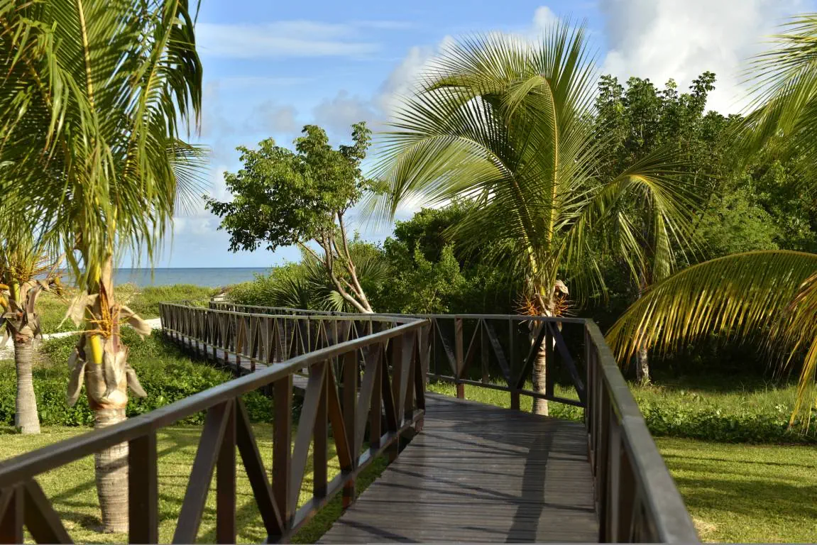 IBEROSTAR ORIGIN LAGUNA AZUL (ex. IBEROSTAR LAGUNA AZUL)