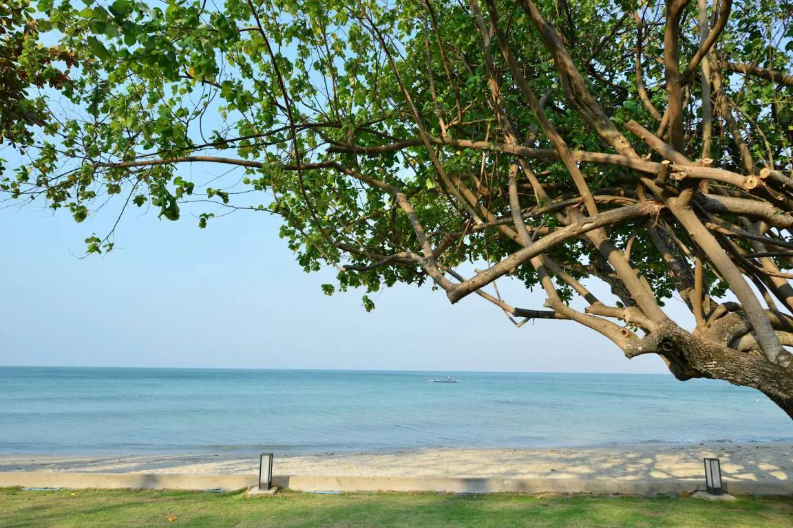 Отель: RESORT & SPA KOH CHANG