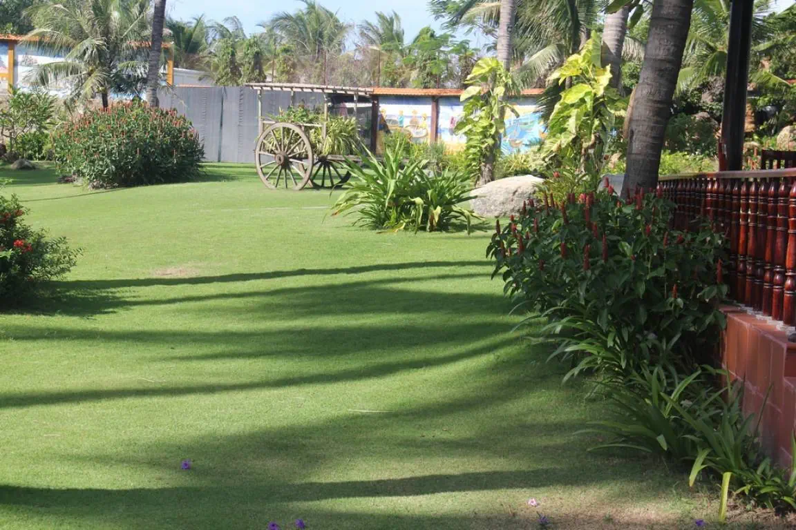 Отель: TY MUI NE RESORT