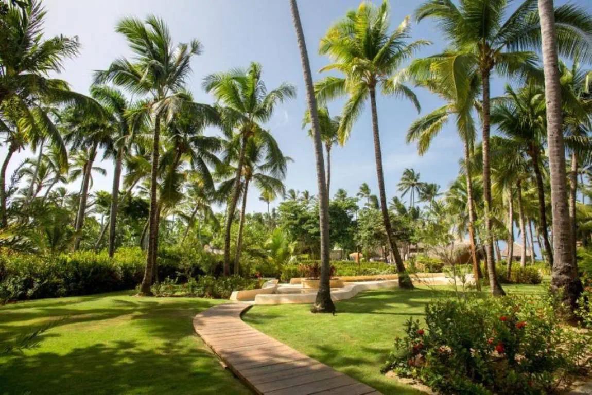 IMPRESSIVE PUNTA CANA