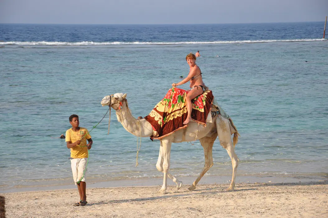 Отель: BEACH RESORT MARSA ALAM