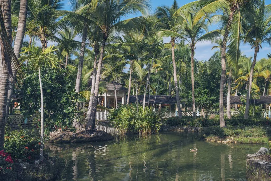 IBEROSTAR SELECTION BAVARO SUITES