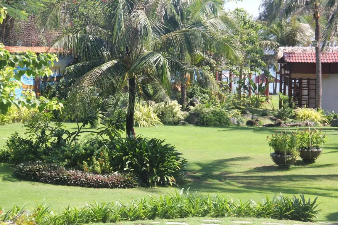 Отель: TY MUI NE RESORT