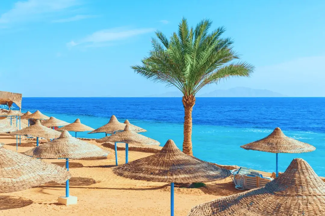 Горящие туры в Египет