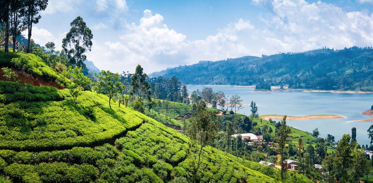 All Inclusive Sri Lanka